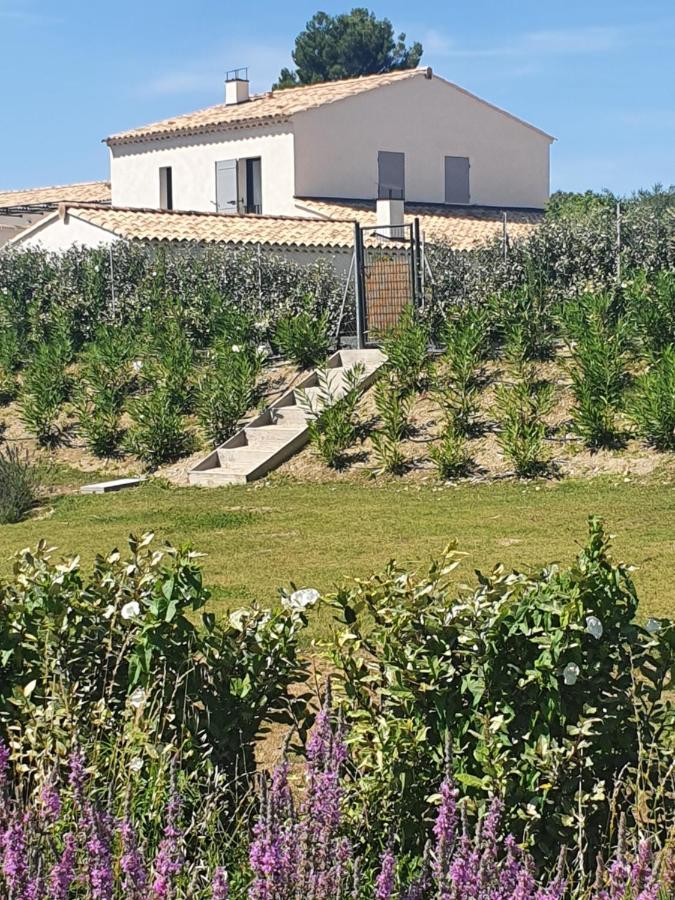 Onze Villa In Provence, Mont Ventoux, New Luxury Villa, Private Pool, Stunning Views, Outdoor Kitchen, Big Green Egg Malaucene Bagian luar foto