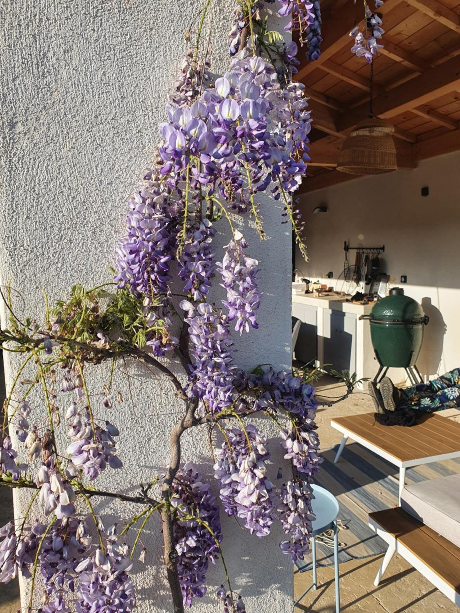 Onze Villa In Provence, Mont Ventoux, New Luxury Villa, Private Pool, Stunning Views, Outdoor Kitchen, Big Green Egg Malaucene Bagian luar foto